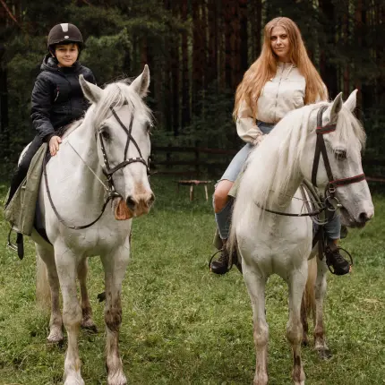 Конная прогулка в Суворовском