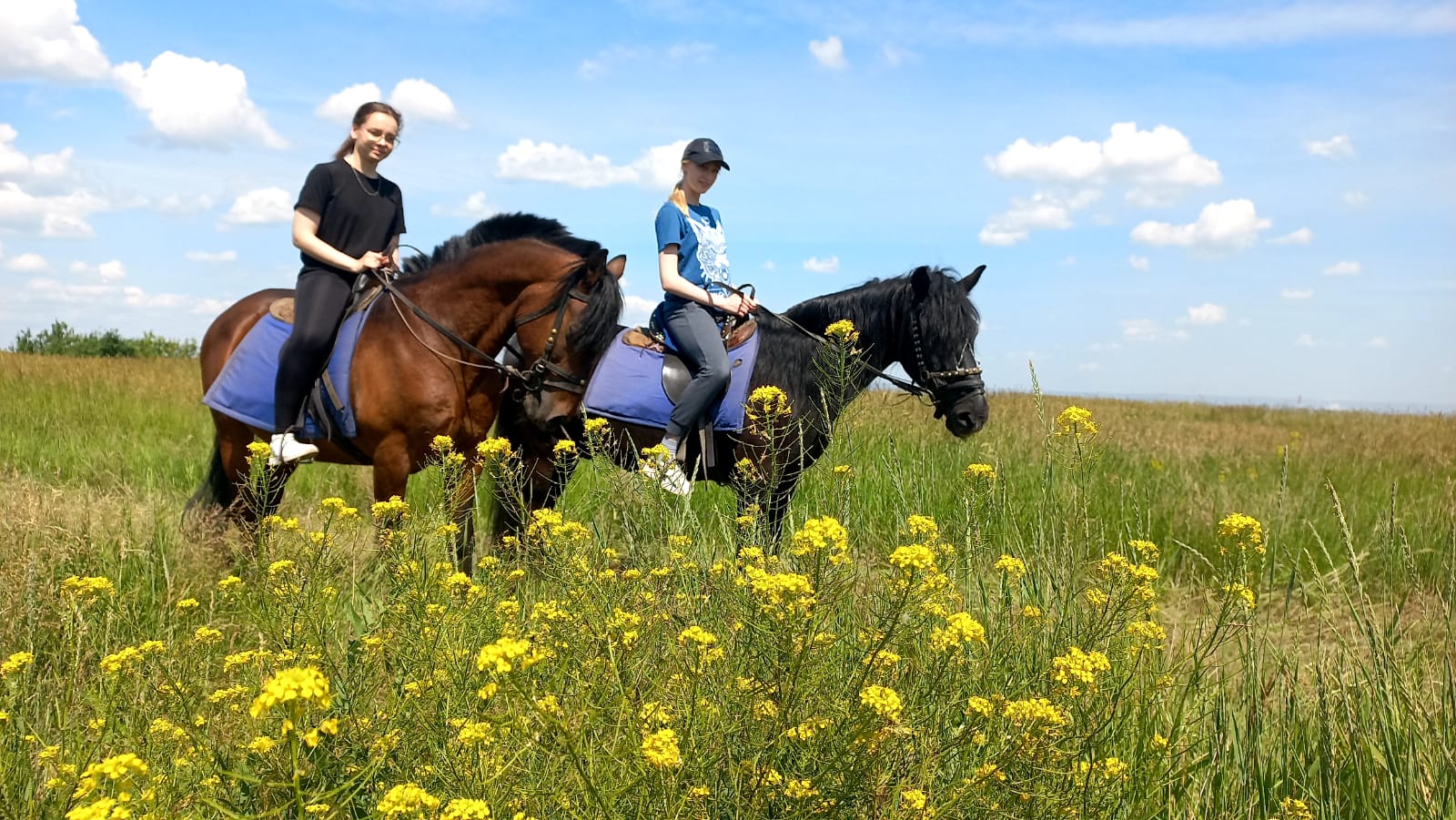 Конная прогулка с пикником