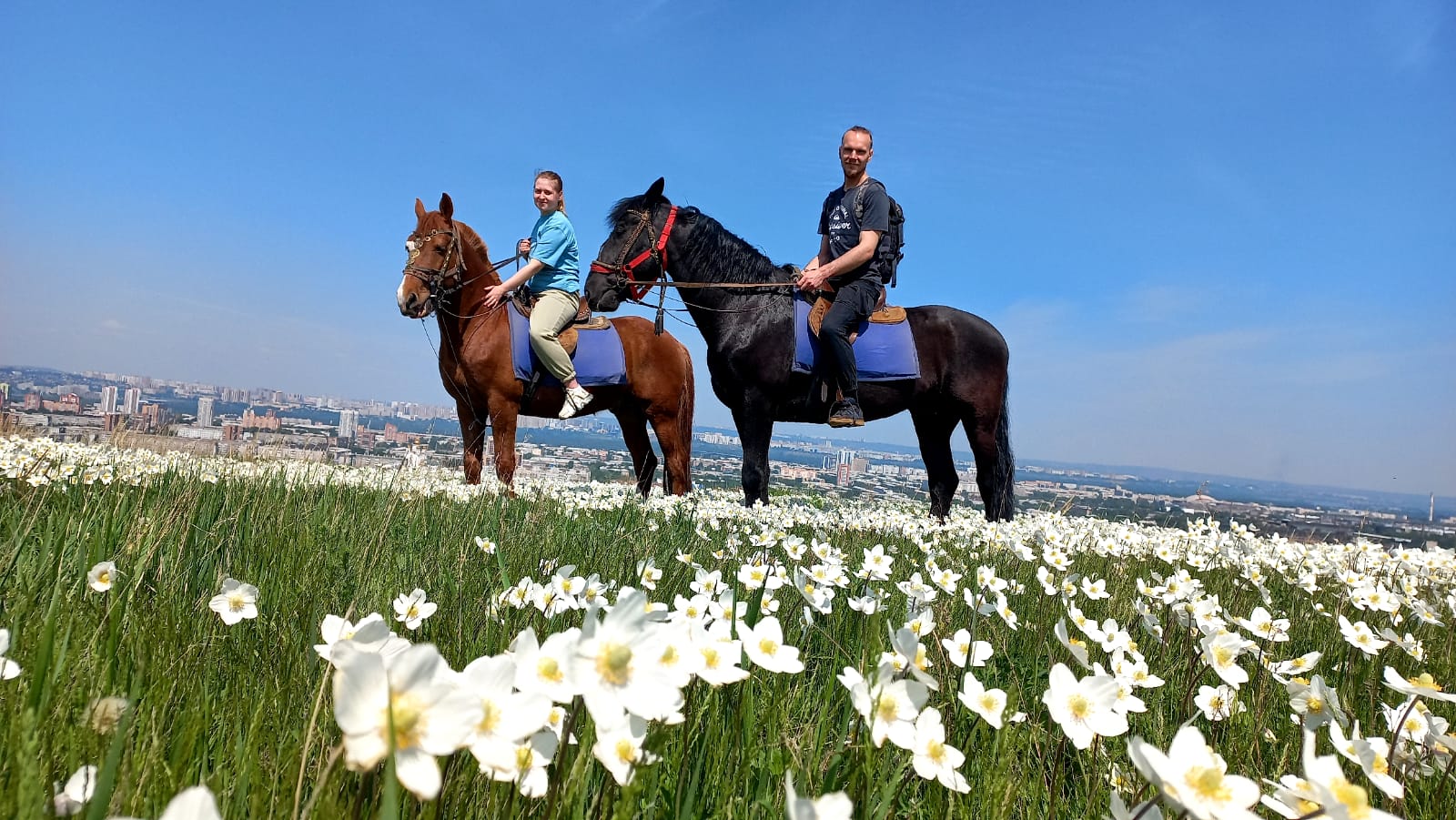 Конная прогулка с пикником