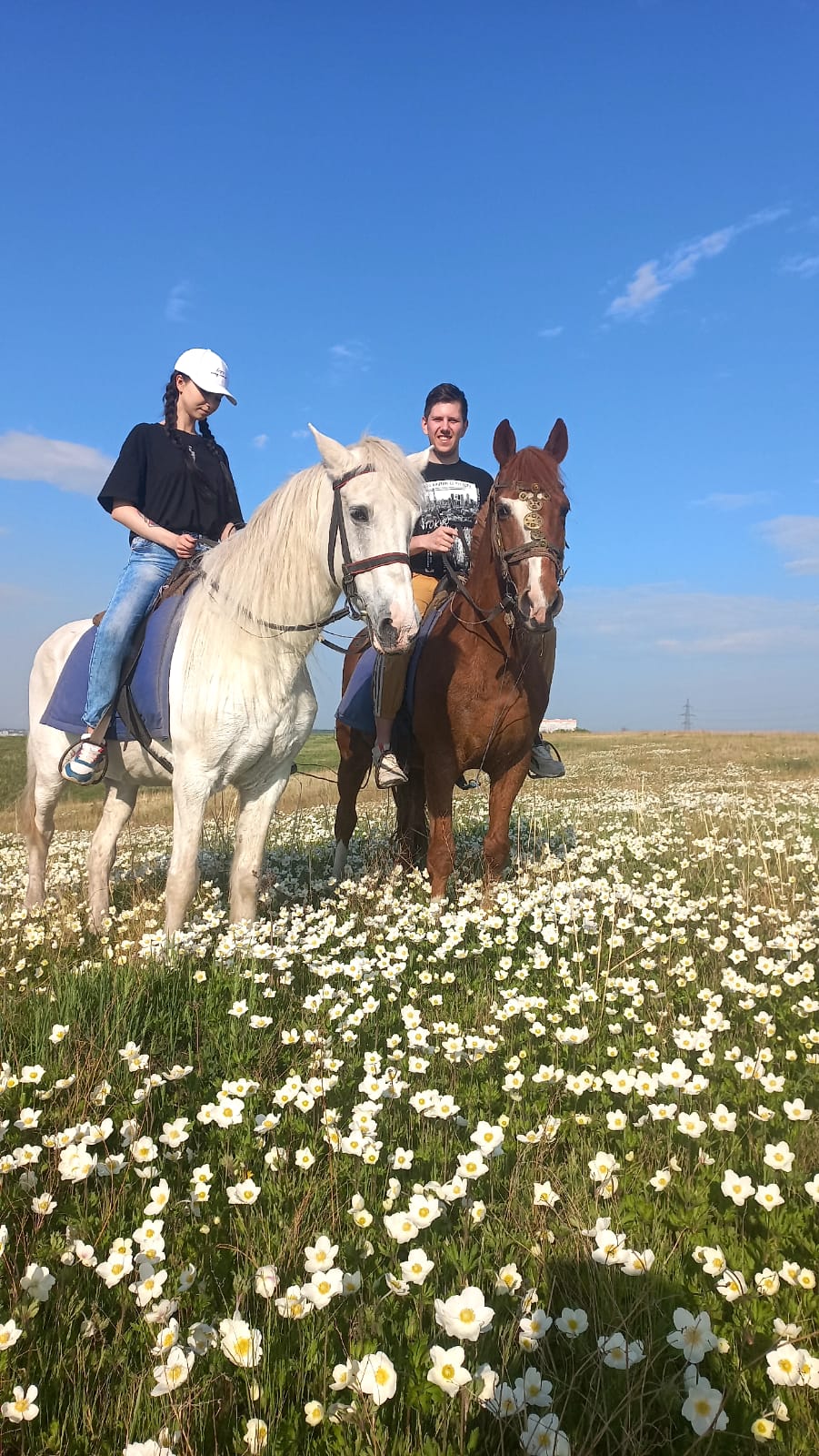 Конная прогулка с пикником