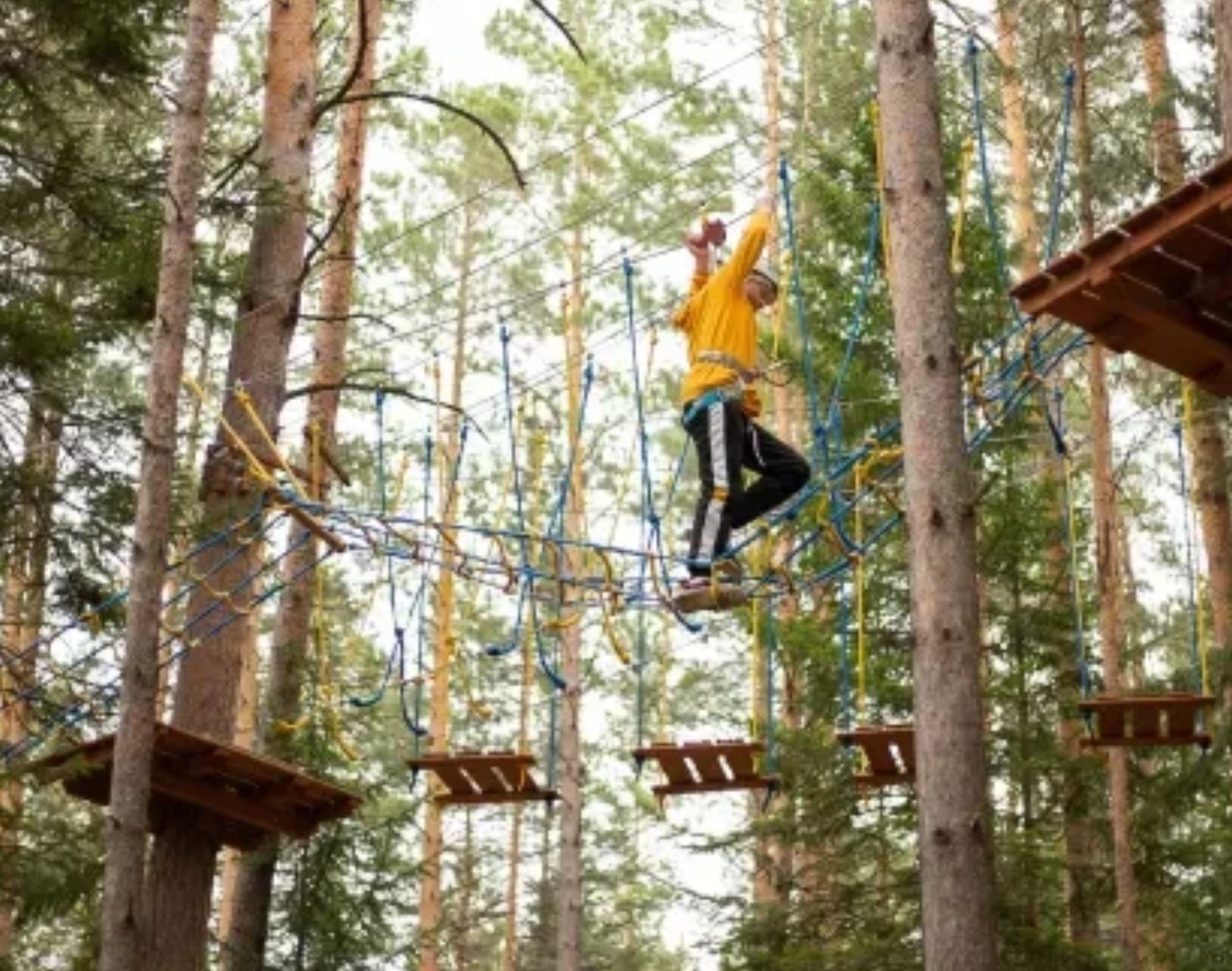 Простые радости. Набор впечатлений