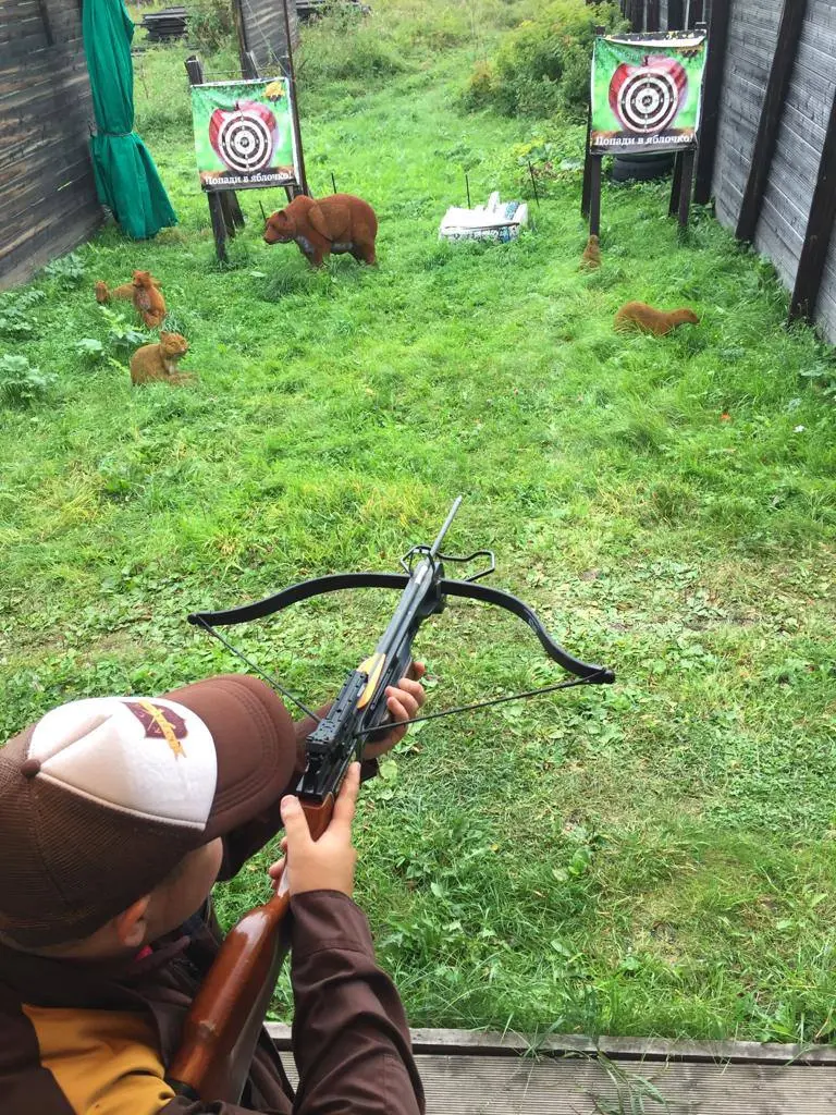 Стрельба из лука или арбалета