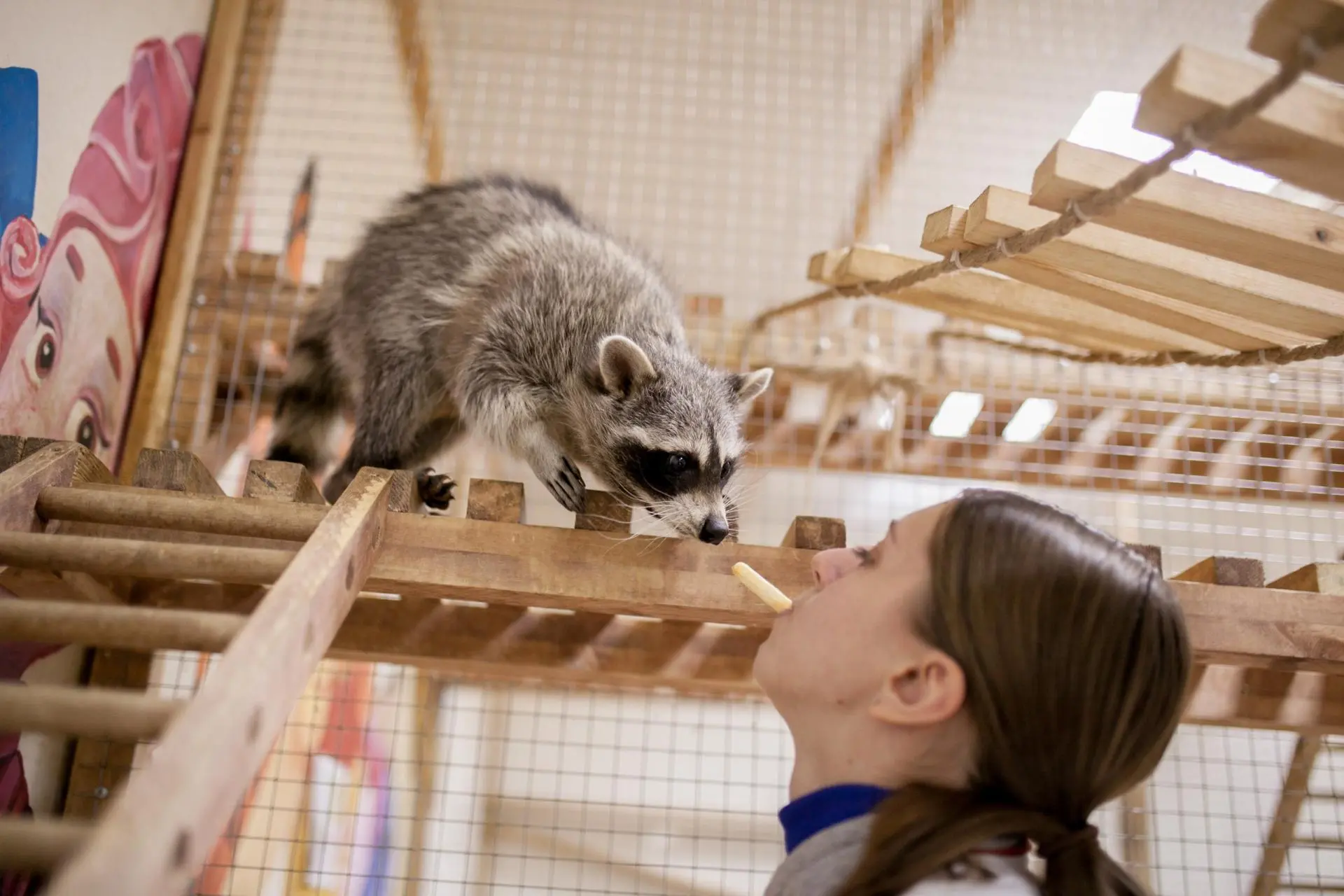 Посещение Страны Енотии