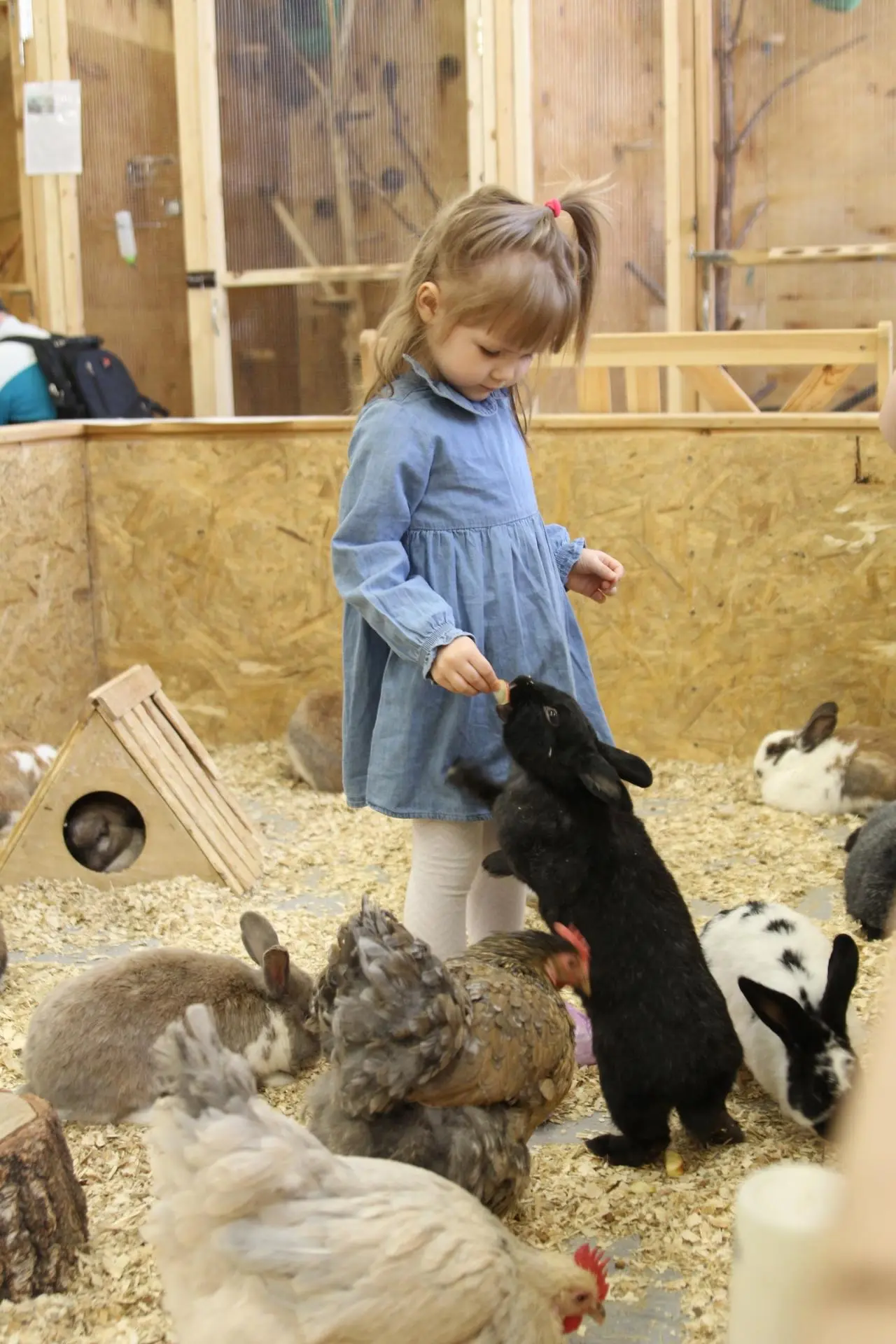 Посещение Страны Енотии