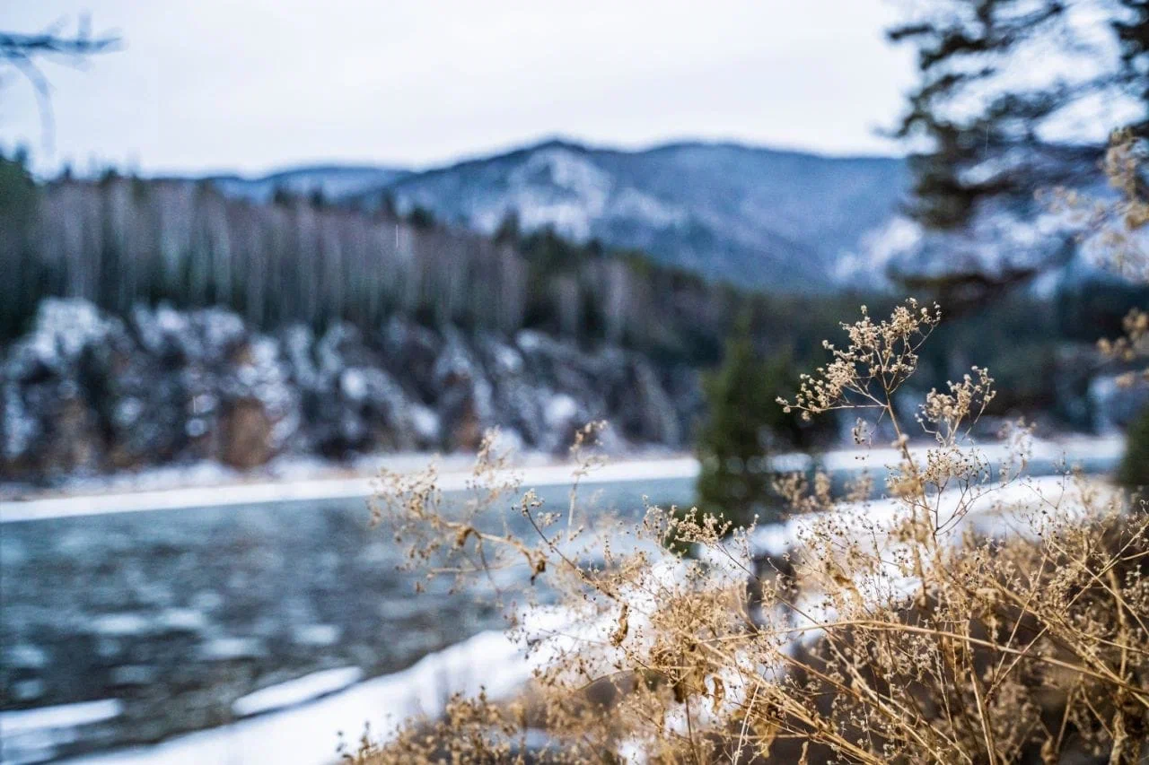 Отдых для компании в домике на Мане