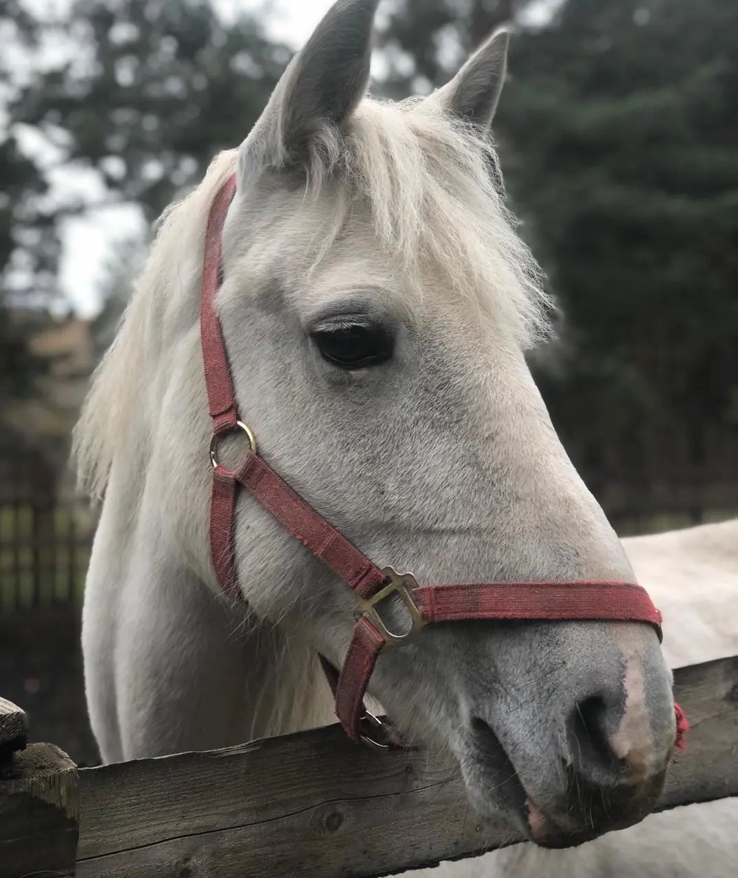 Для тебя. Набор впечатлений