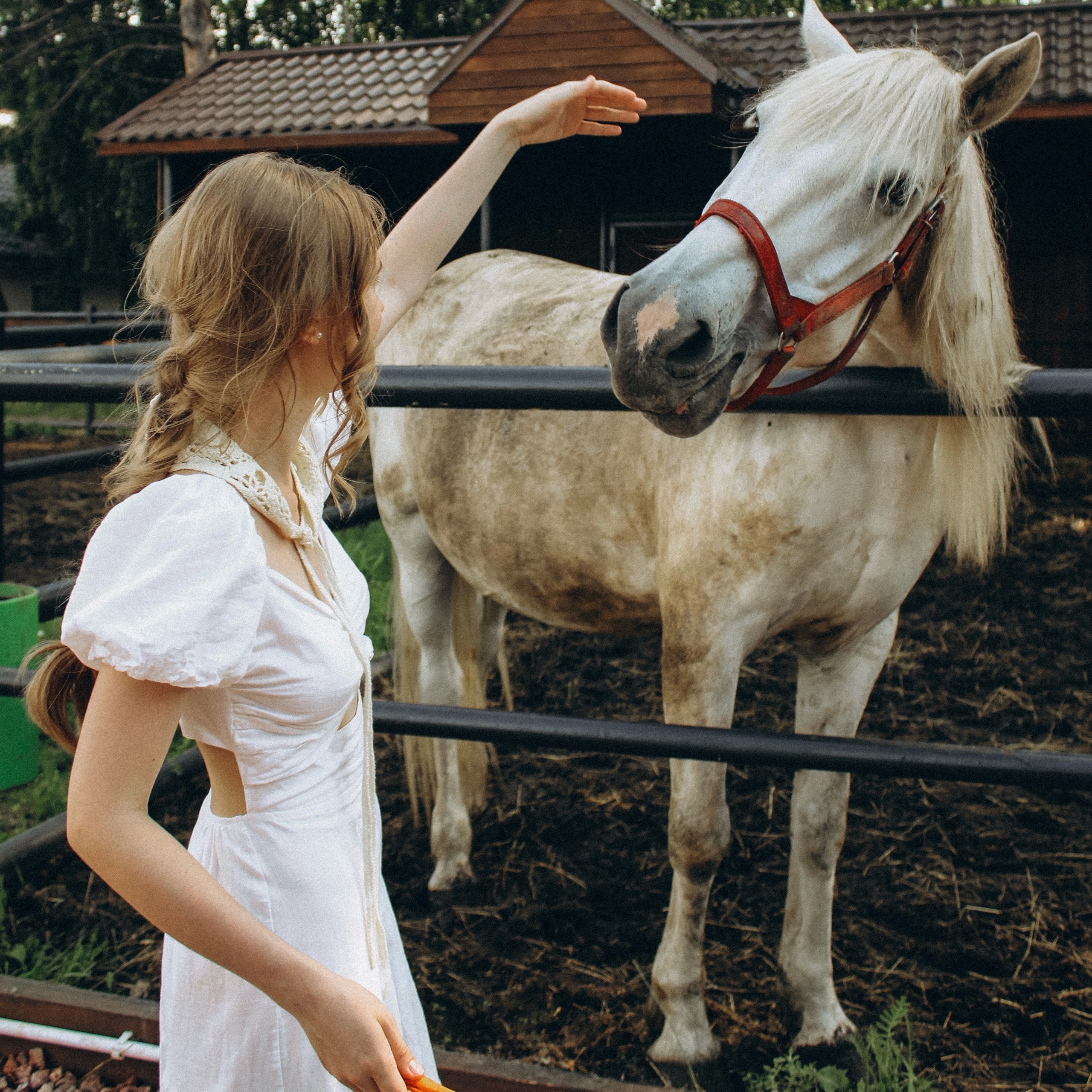 Конная прогулка на Ранчо