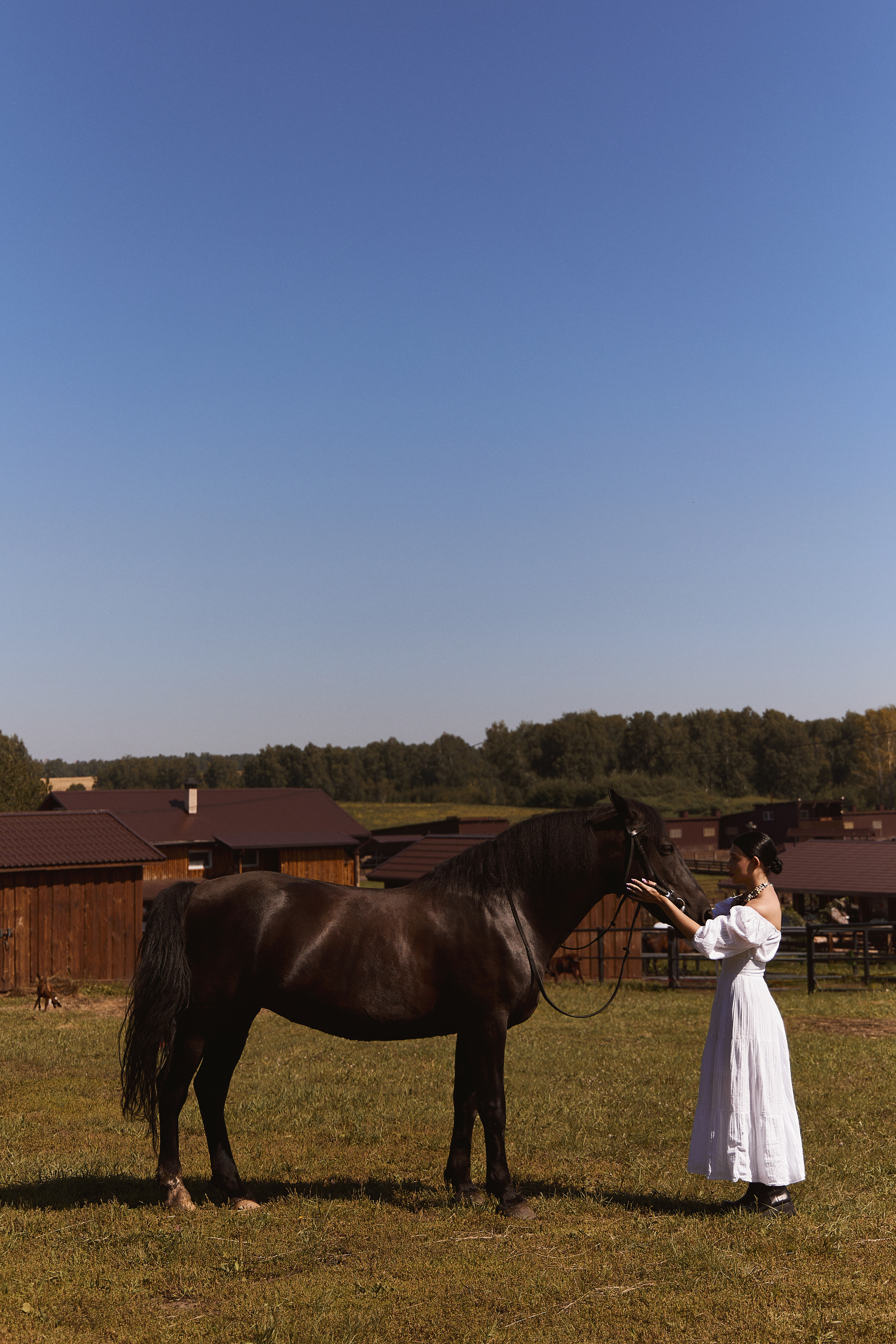 Фотосессия с животными на ранчо