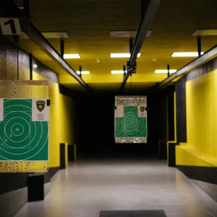 Стрельба из огнестрельного оружия