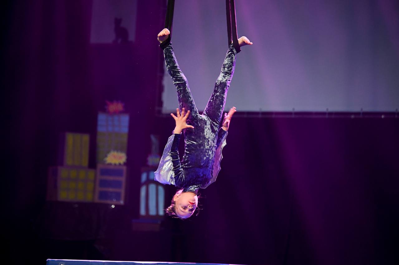 Индивидуальный мастер-класс по цирковому искусству