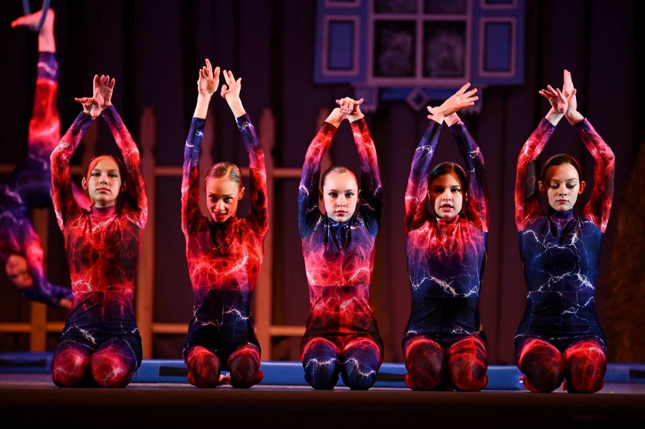 Индивидуальный мастер-класс по цирковому искусству