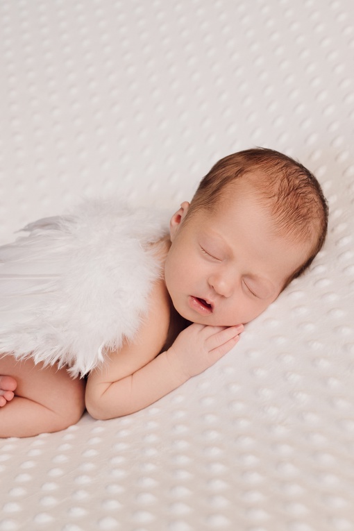 Фотосессия «Новорожденный»