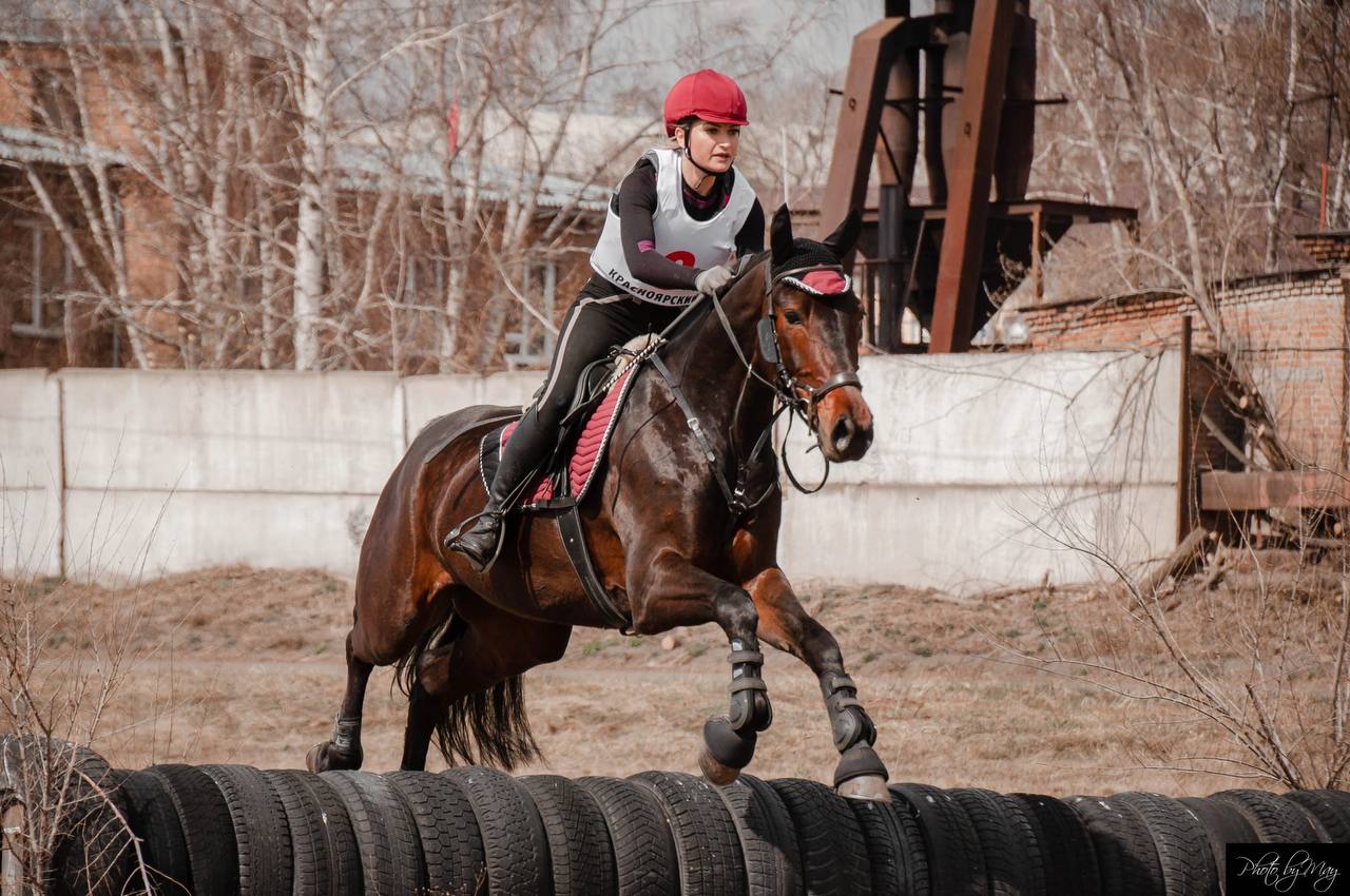 Урок верховой езды на ипподроме