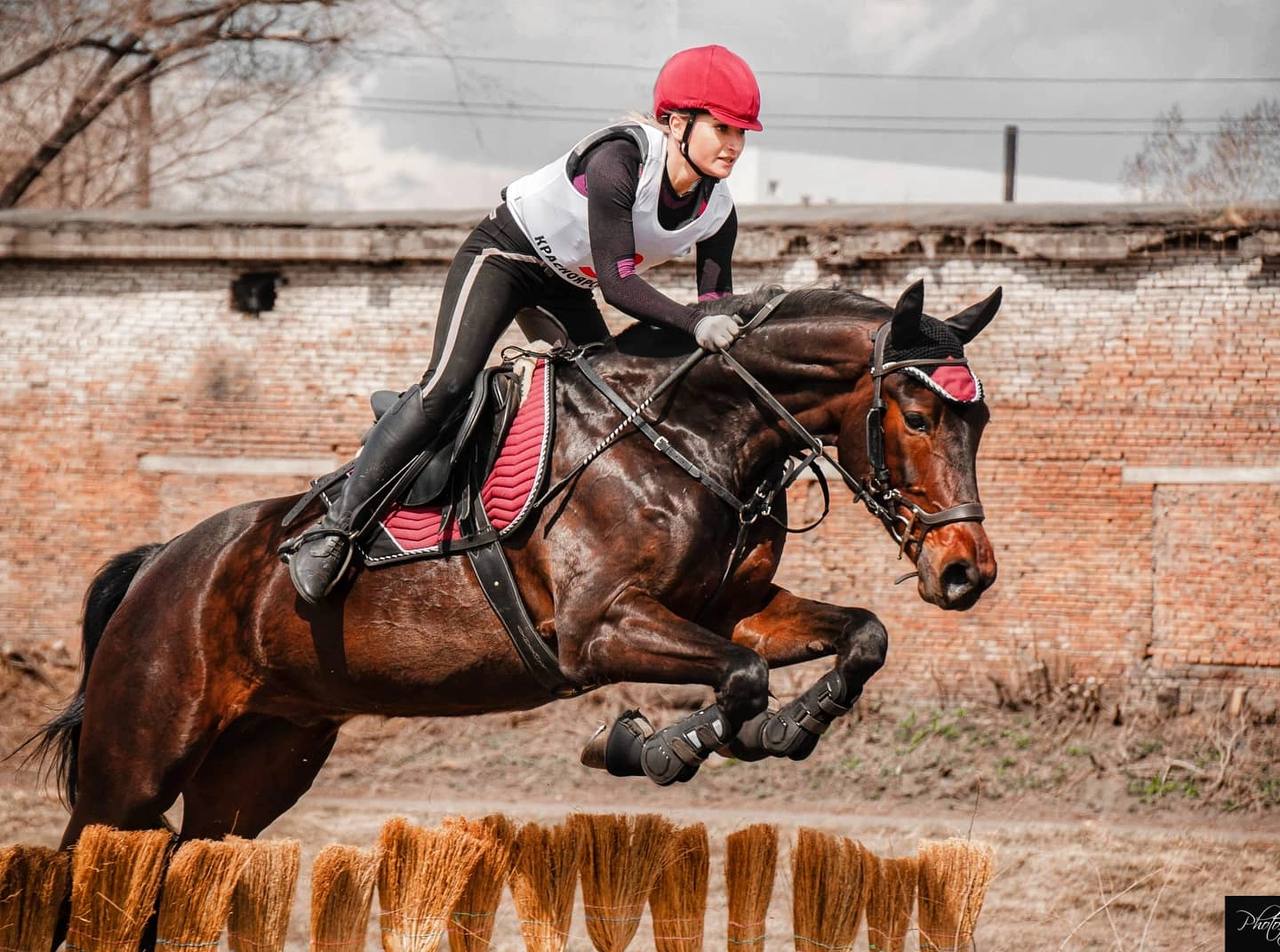 Урок верховой езды на ипподроме