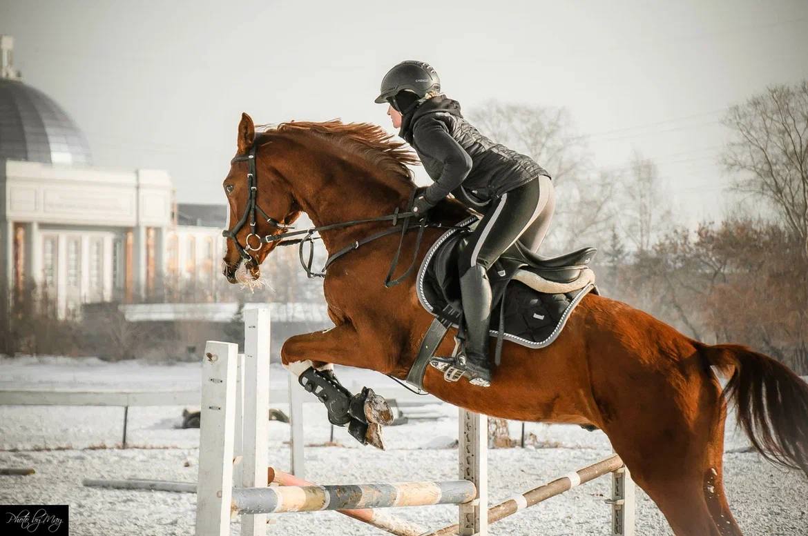 Урок верховой езды на ипподроме