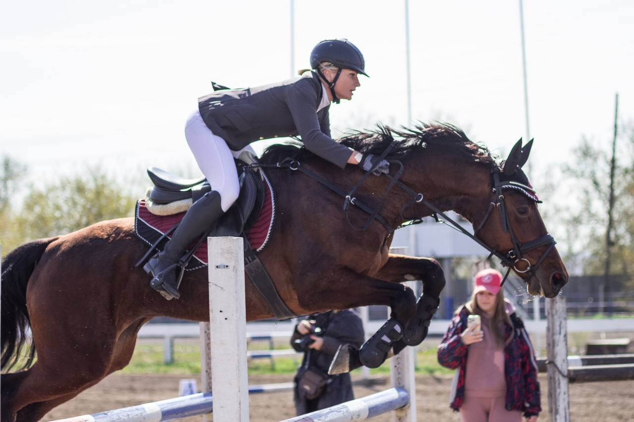 Урок верховой езды на ипподроме