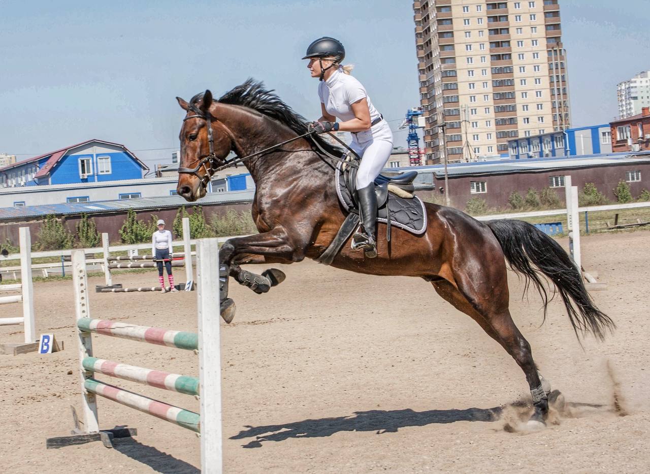 Урок верховой езды на ипподроме