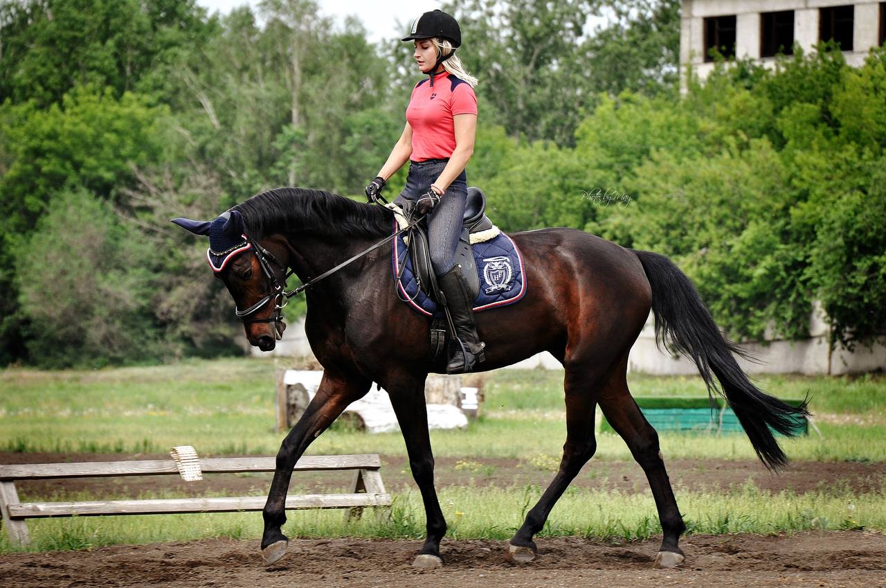 Урок верховой езды на ипподроме