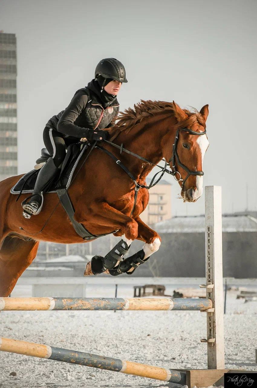 Урок верховой езды на ипподроме