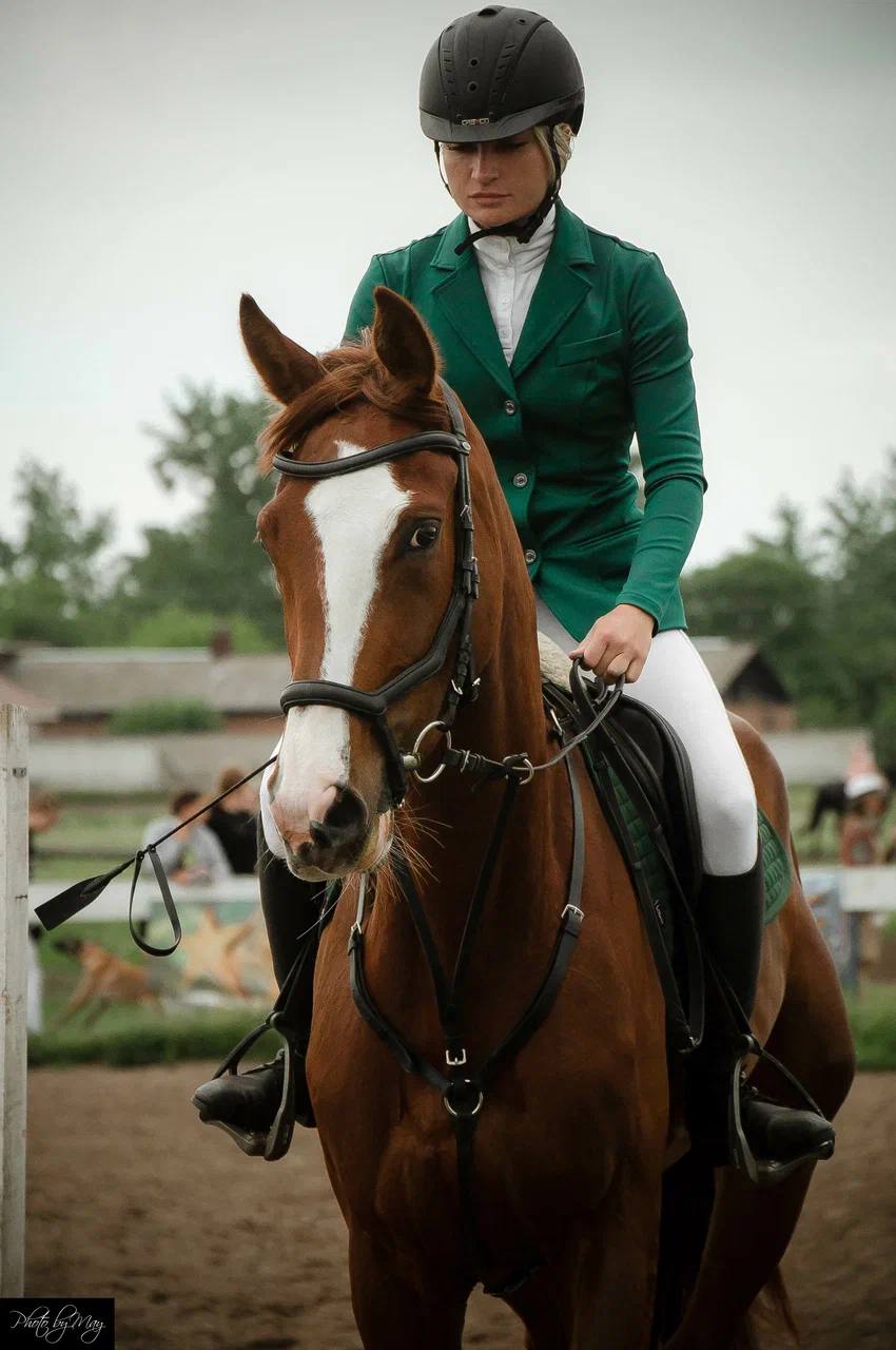 Урок верховой езды на ипподроме