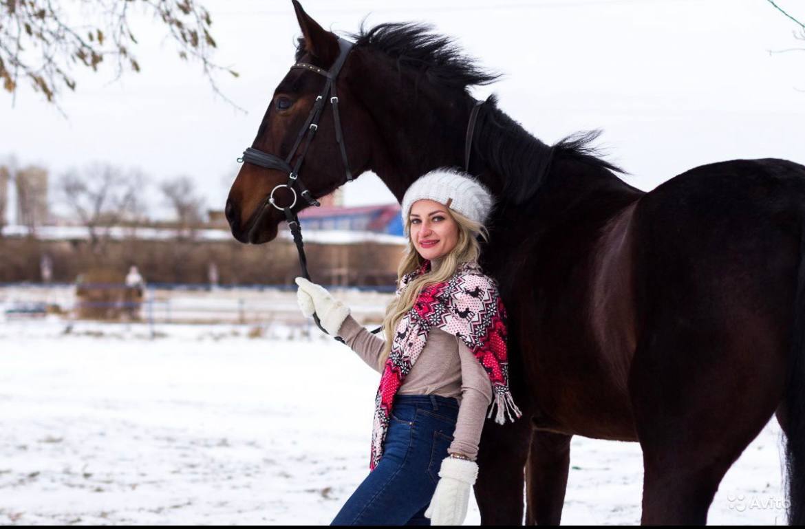 Урок верховой езды на ипподроме