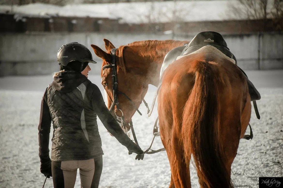 Урок верховой езды на ипподроме