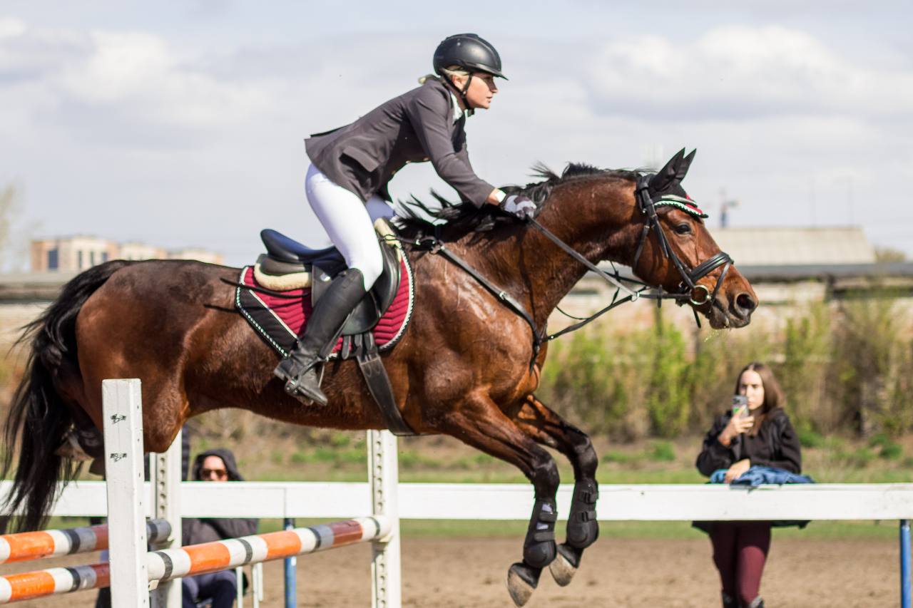 Урок верховой езды на ипподроме