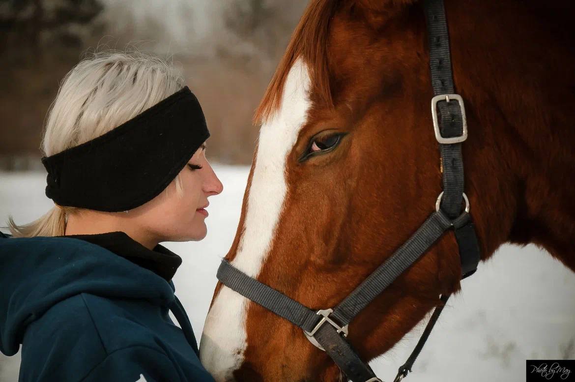 Урок верховой езды на ипподроме