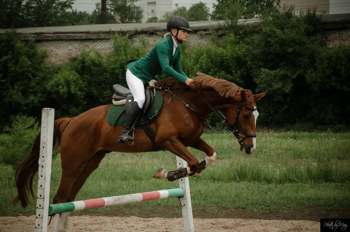 Урок верховой езды на ипподроме