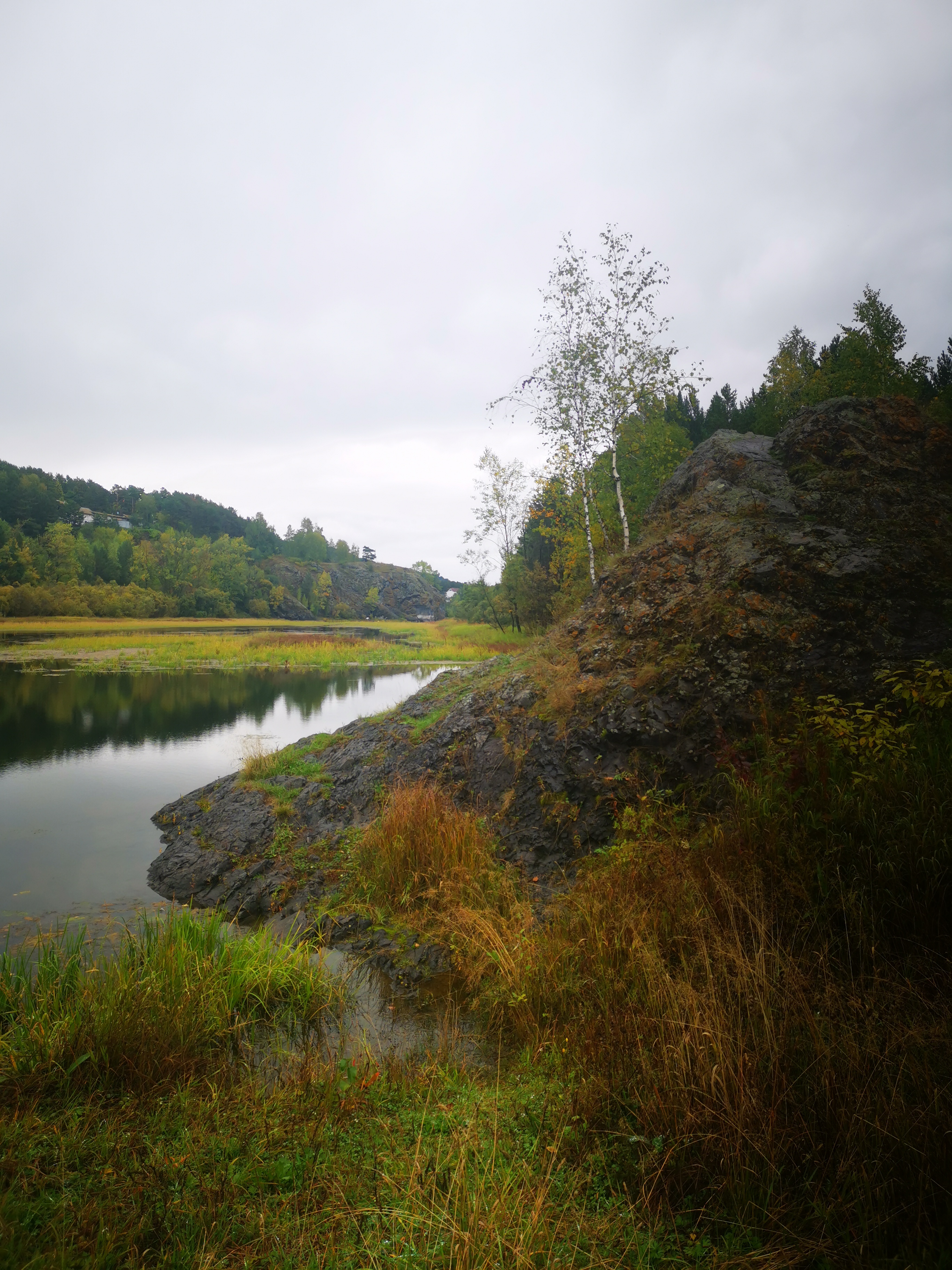 Тренинг для компании «Выживание в лесу»