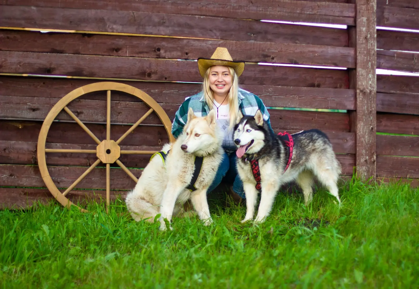 Отдых в доме с баней + знакомство с хаски