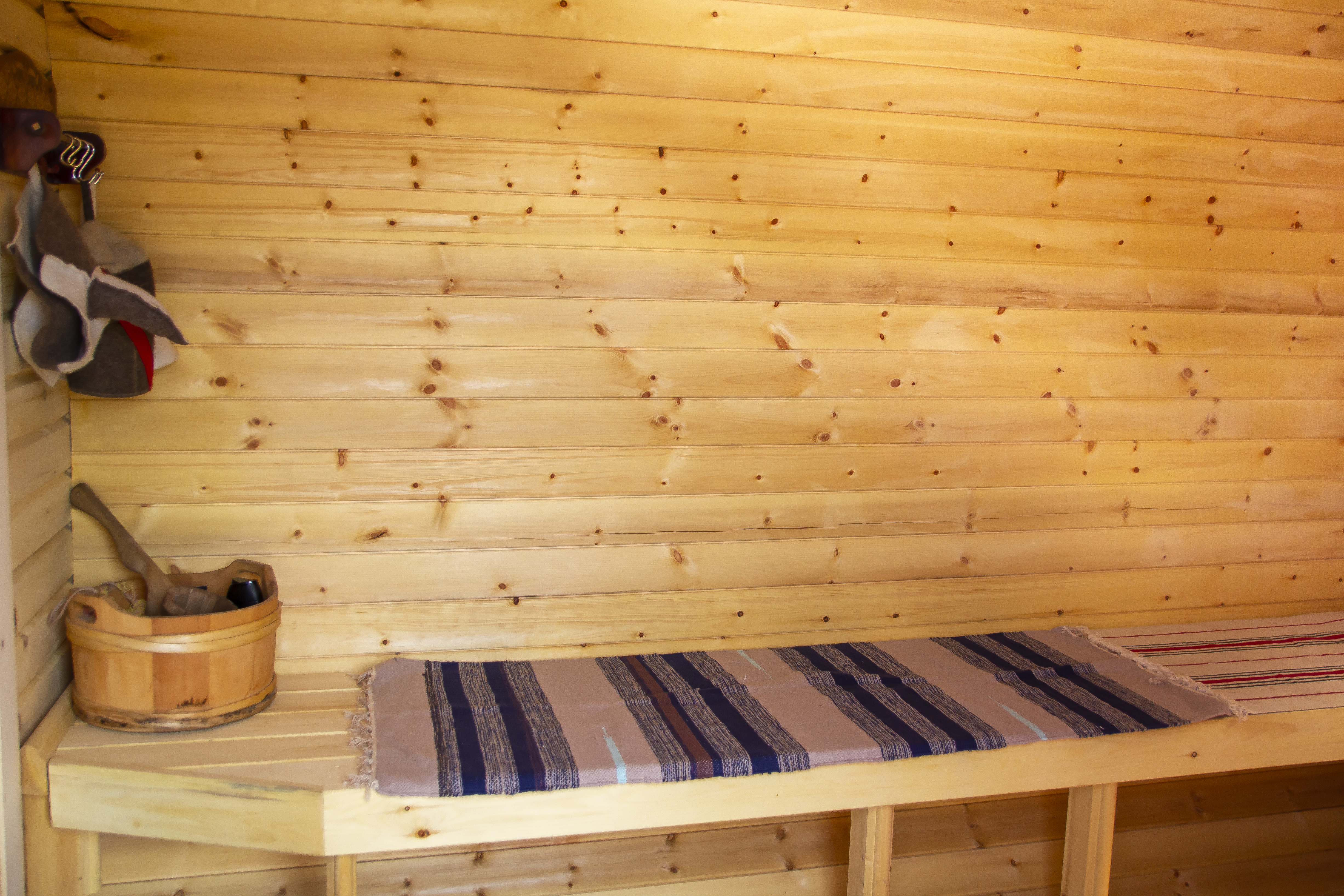 Отдых в доме с баней + знакомство с хаски