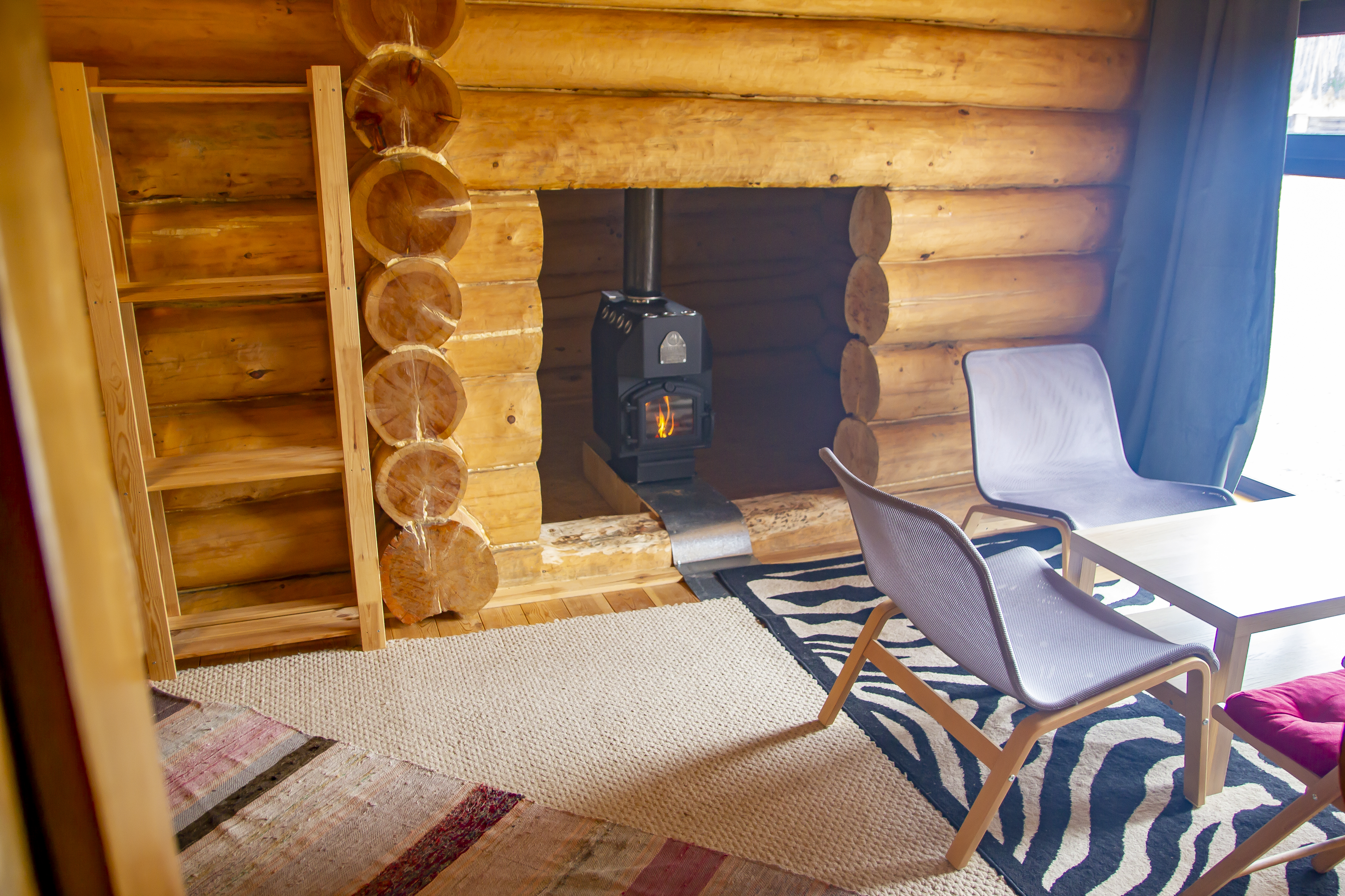 Отдых в доме с баней + знакомство с хаски