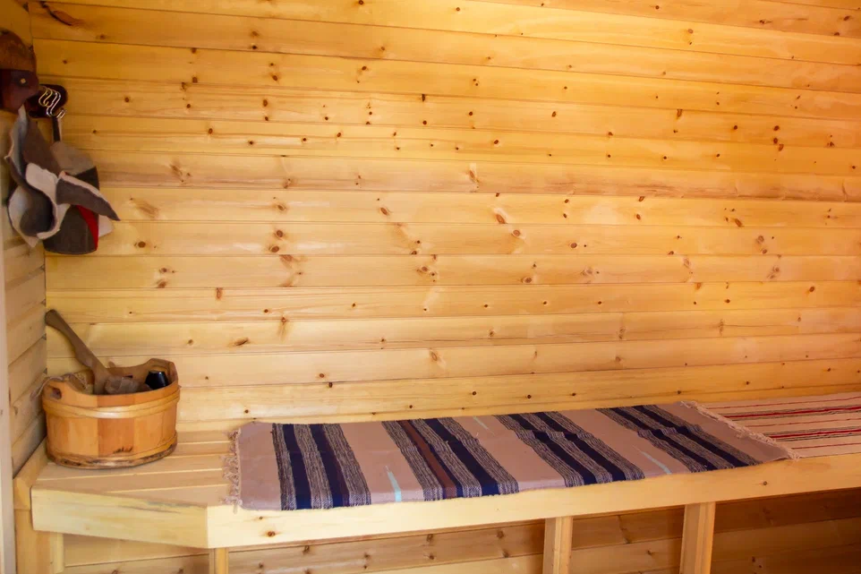 Отдых за городом: Баня + знакомство с хаски