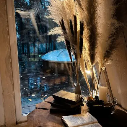 Свидание в А-фрейм домике