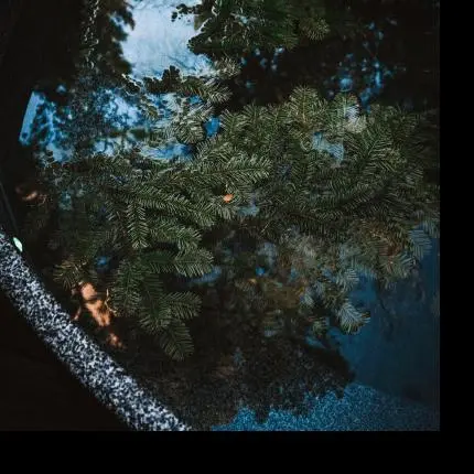 Отдых для компании в А-фрейм домике