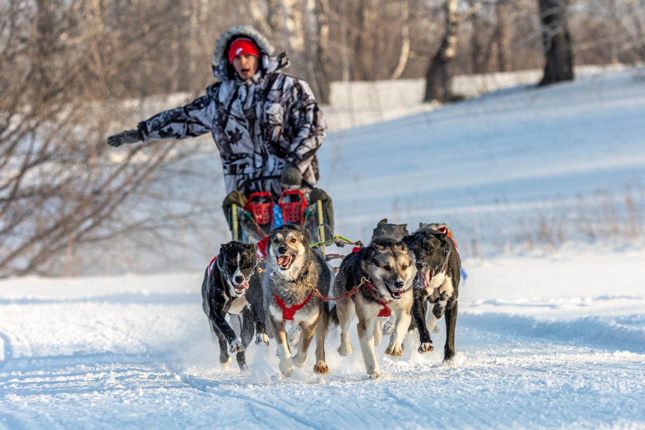 Скоростной заезд на хаски