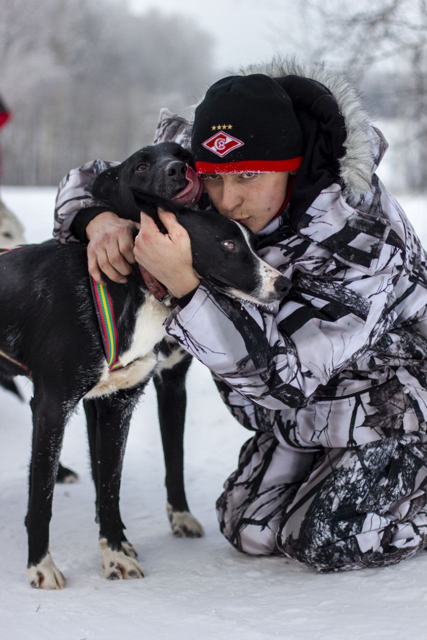 Скоростной заезд на хаски