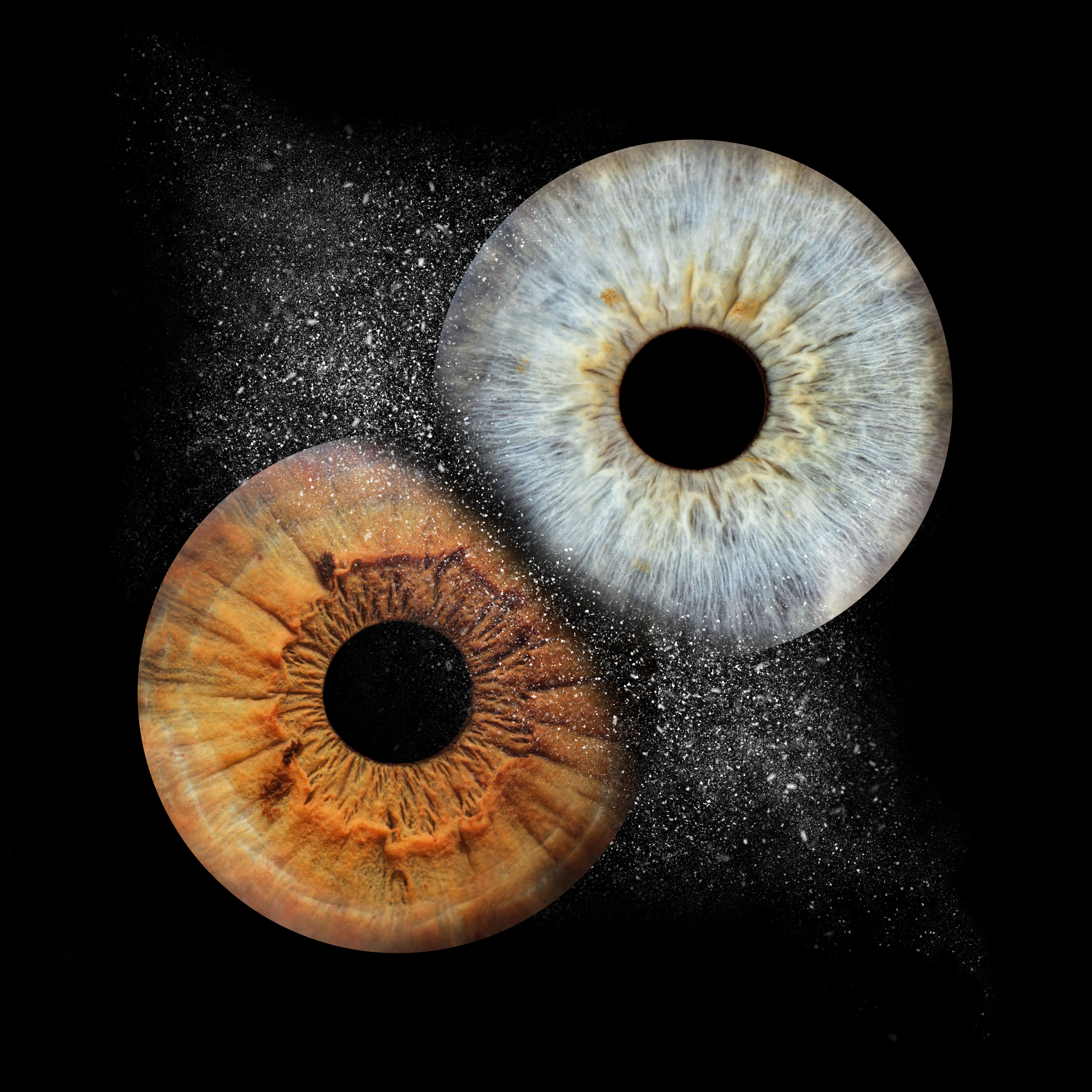 Парное фото радужки глаза