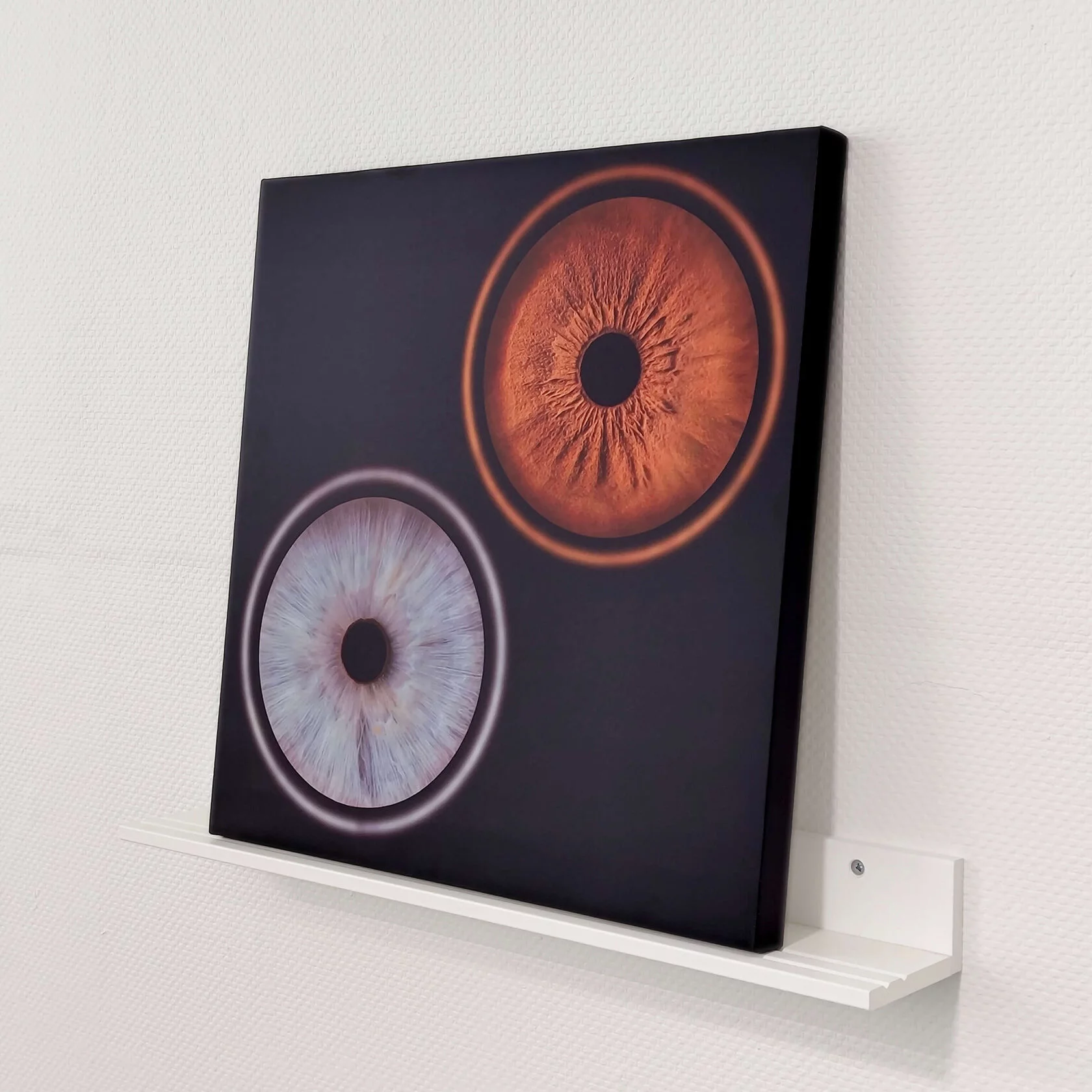 Парное фото радужки глаза