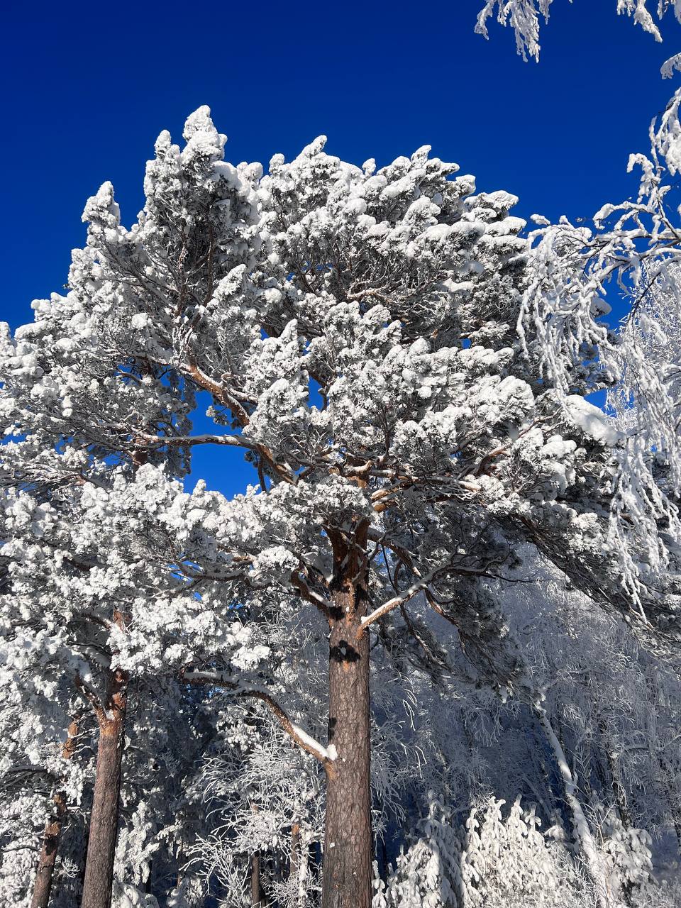 Катание на снегоходах для девушек