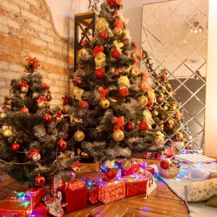 Рождественская фотосессия