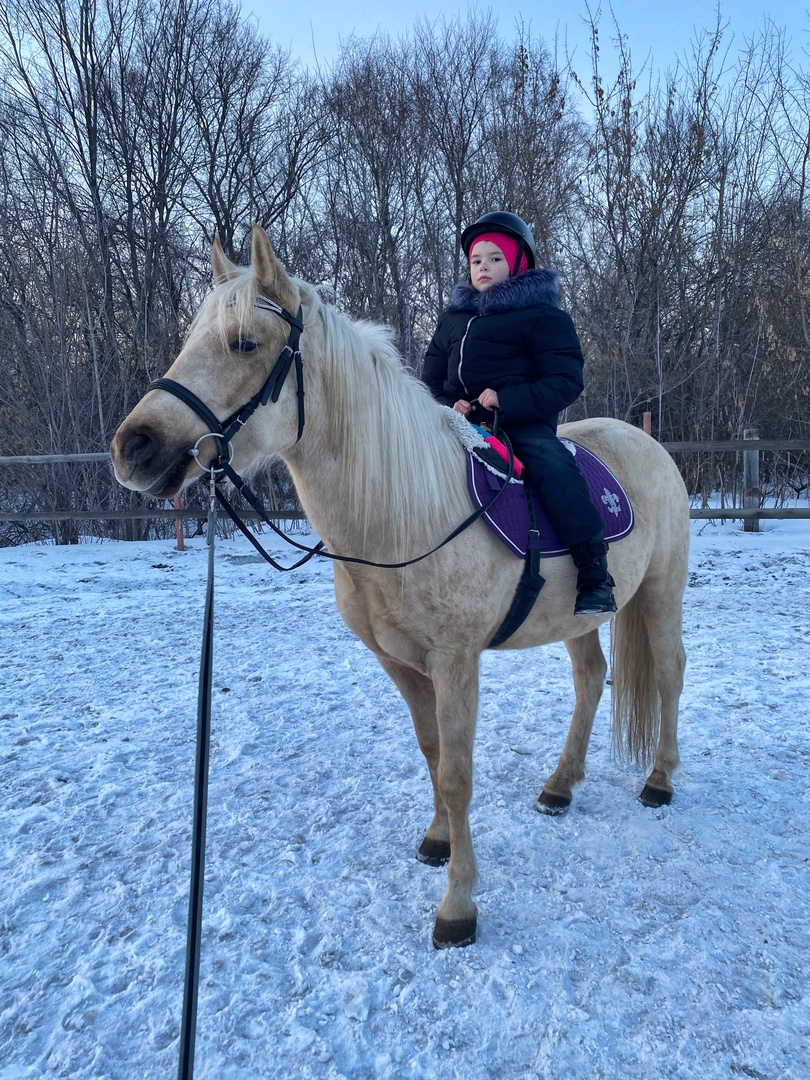 Конная прогулка по парку