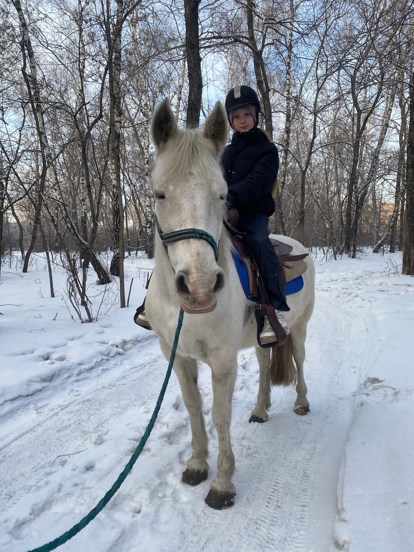 Конная прогулка по парку