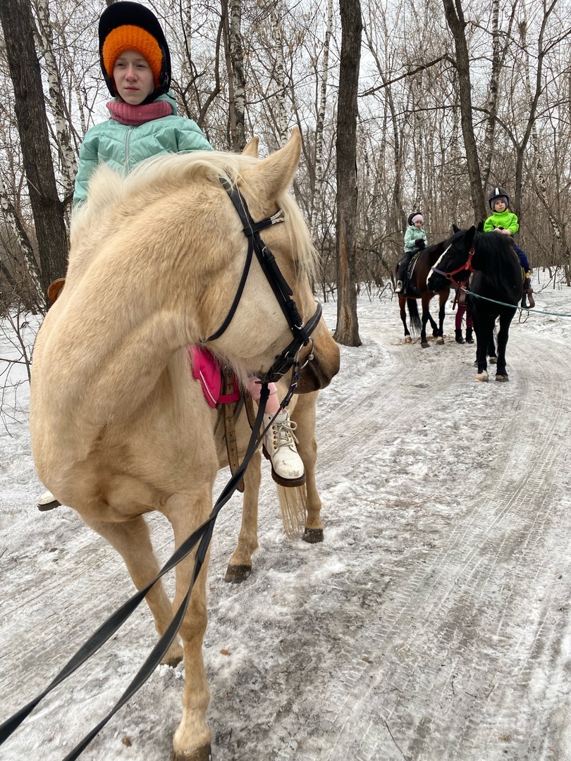 Конная прогулка по парку