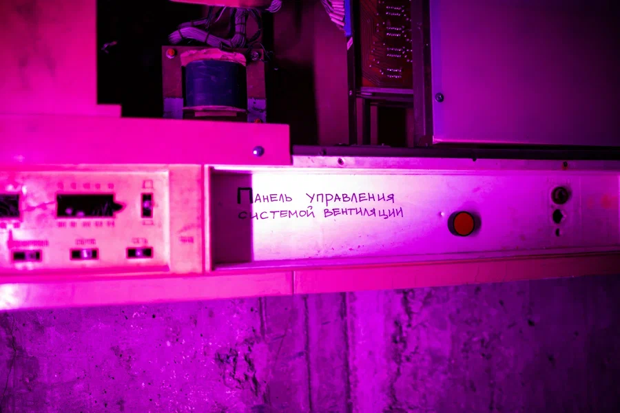 Детский квест "Зомбилэнд"