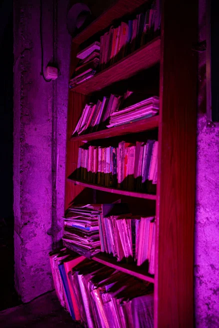 Детский квест "Зомбилэнд"