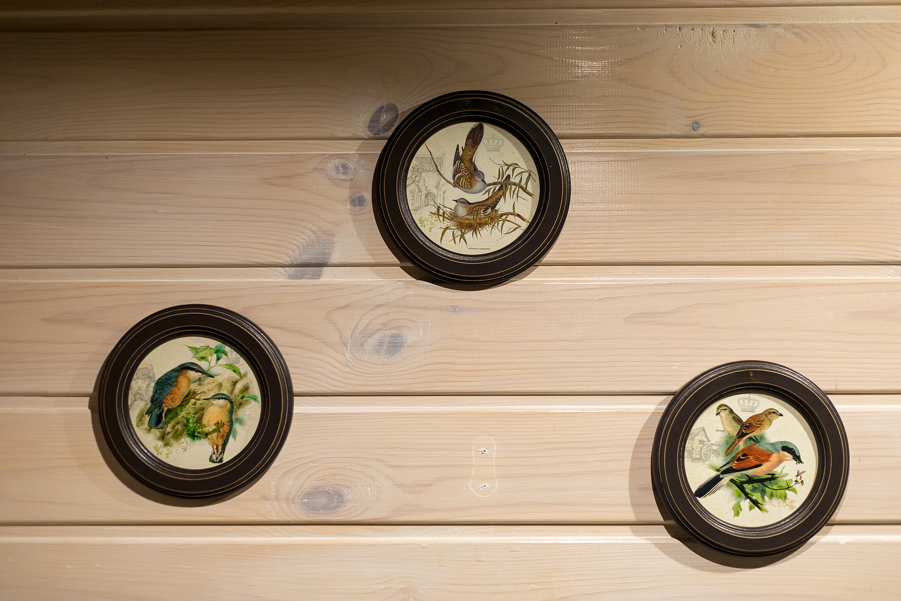 Отдых для компании в гостевом доме