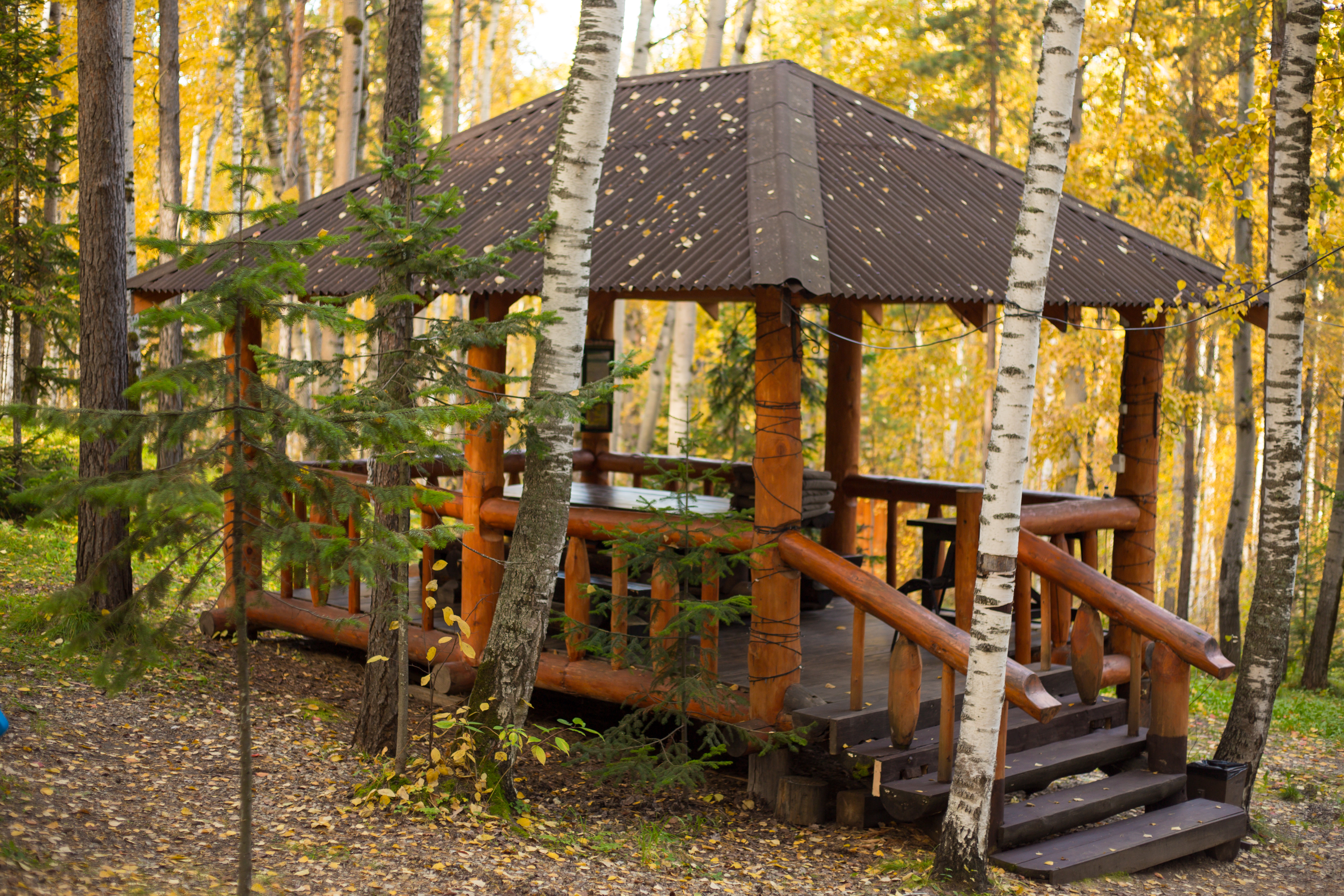 Отдых для компании в гостевом доме