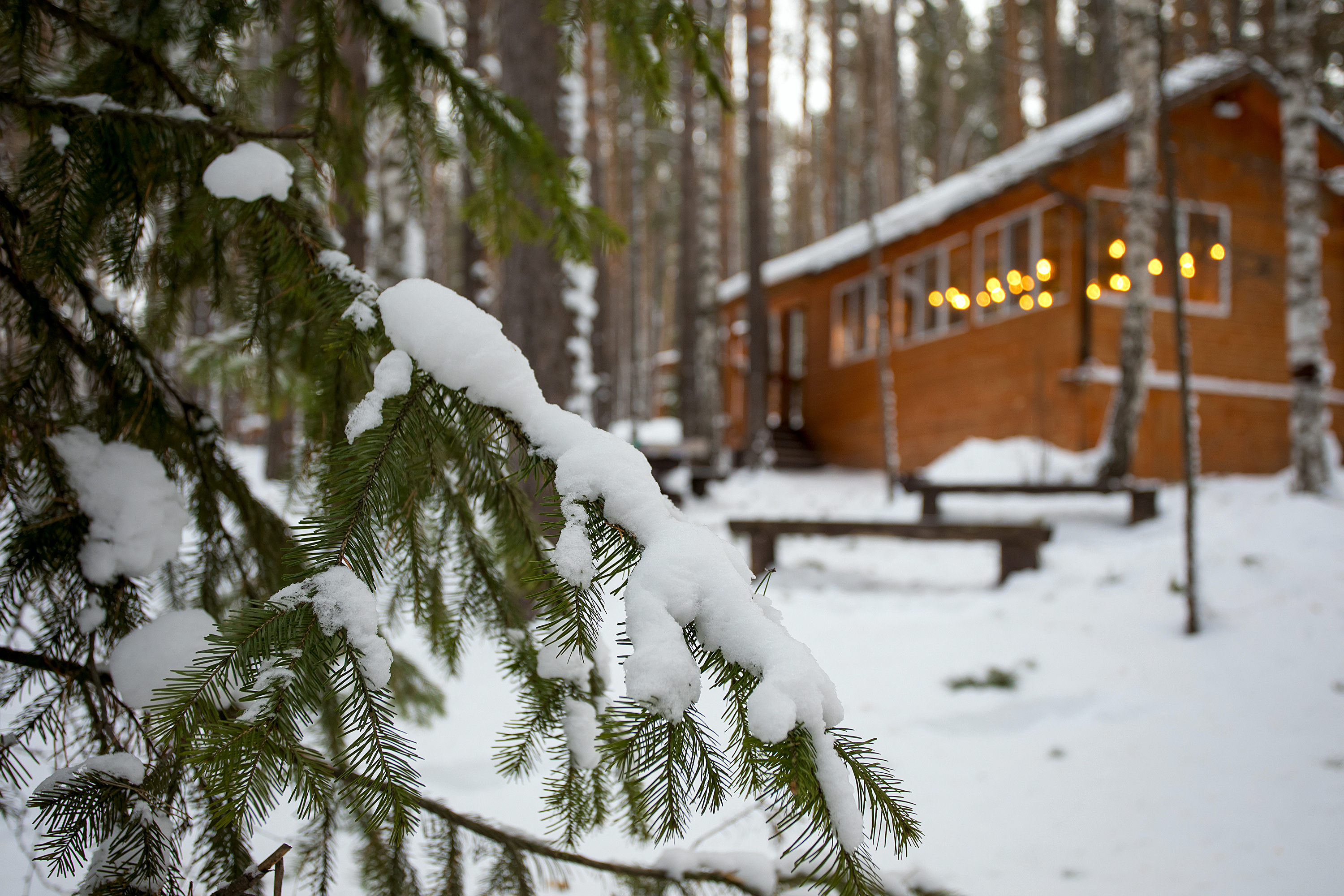 Отдых для компании в большой теплой беседке